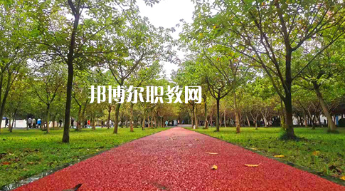 2023年四川國盛技工學(xué)校醫(yī)護(hù)救援部學(xué)費、收費多少