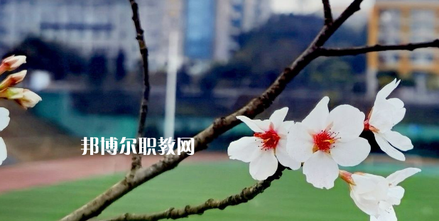 2023眉山技師學(xué)院招生計(jì)劃 招生人數(shù)是多少(附要求、條件、對象)