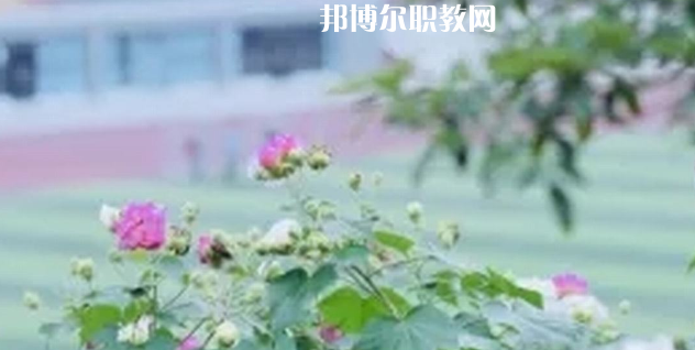 眉山技師學(xué)院地址在哪里，哪個(gè)地區(qū)，哪個(gè)城市?