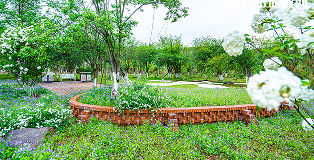 重慶望江技工學(xué)校地址在哪里，哪個地區(qū)，哪個城市?