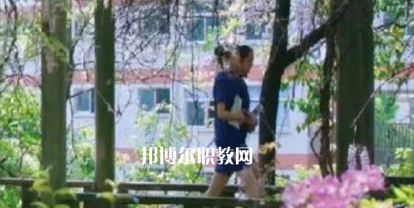 2023金華市成功學(xué)校招生計(jì)劃 招生人數(shù)是多少(附要求、條件、對(duì)象)