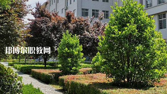 2023渭南技師學院招生計劃 招生人數是多少(附要求、條件、對象)