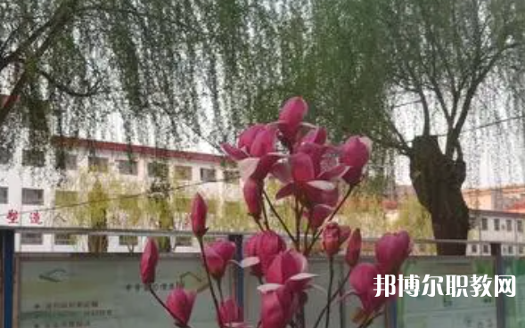 2023柏鄉(xiāng)縣職教中心招生計劃 招生人數(shù)是多少(附要求、條件、對象)