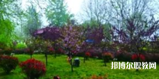 2023隆堯縣職業(yè)技術(shù)教育中心招生計劃 招生人數(shù)是多少(附要求、條件、對象)