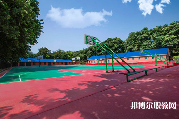 重慶2024年初中沒畢業(yè)可不可以讀中專