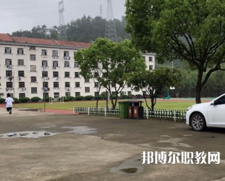 淳安育才學(xué)校2023年招生錄取分數(shù)線（2024參考）