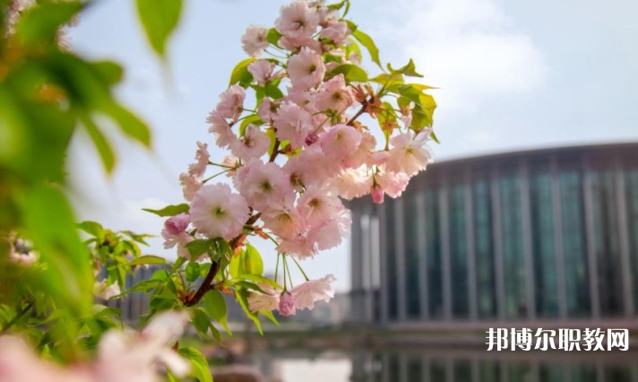 河南藝術(shù)職業(yè)學(xué)院中專部怎么樣、好不好