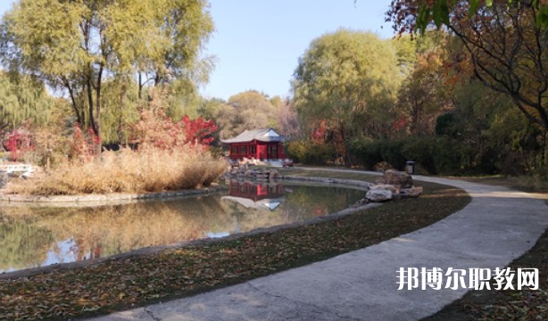 2024沈陽職業(yè)技術(shù)學(xué)院附屬中等專業(yè)學(xué)校招生計(jì)劃 招生人數(shù)是多少(附要求、條件、對象)