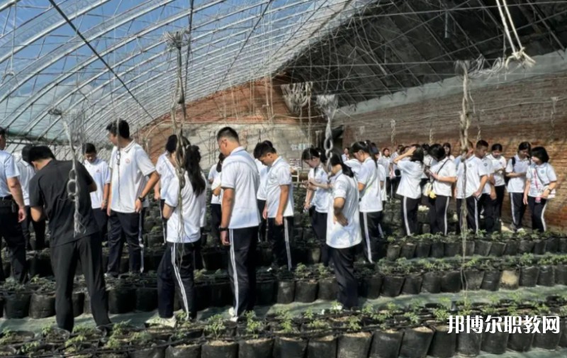 2024營口市農業(yè)工程學校招生計劃 招生人數(shù)是多少(附要求、條件、對象)
