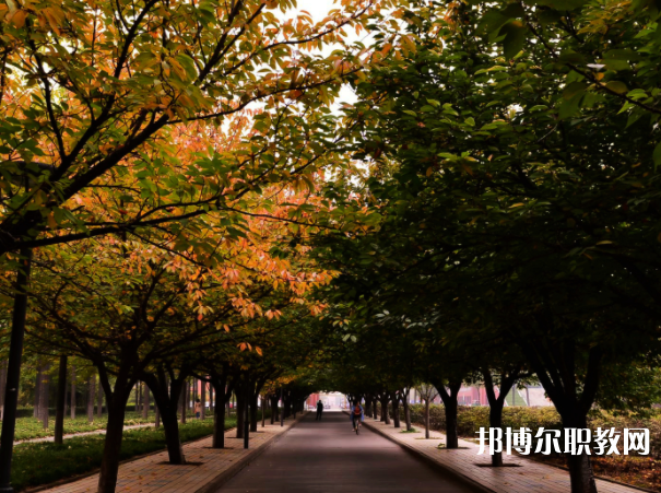 2025桂林中職學(xué)校最新排名前三名單